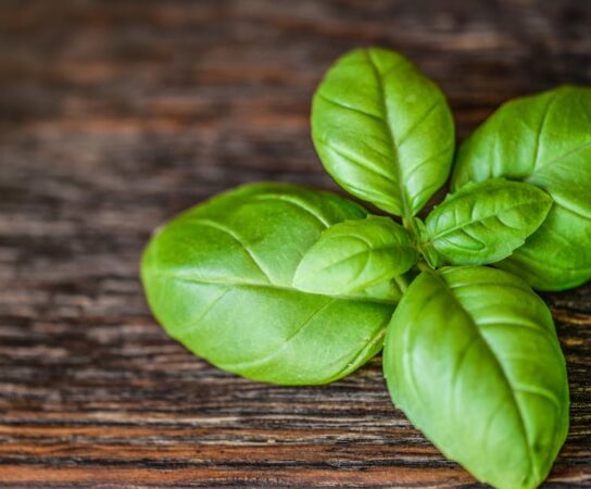 Cokół kuchenny jako ukryty ogród hydroponiczny – zioła i mikrolistki prosto spod szafek